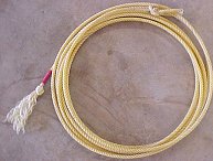 Yellow Jacket Rope